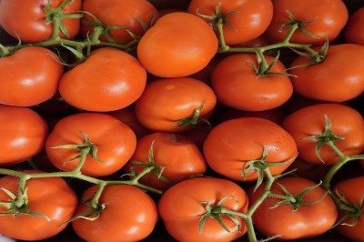 Foto Pomodoro Grappolo Origine Italia Marchio Giugno & Co 2